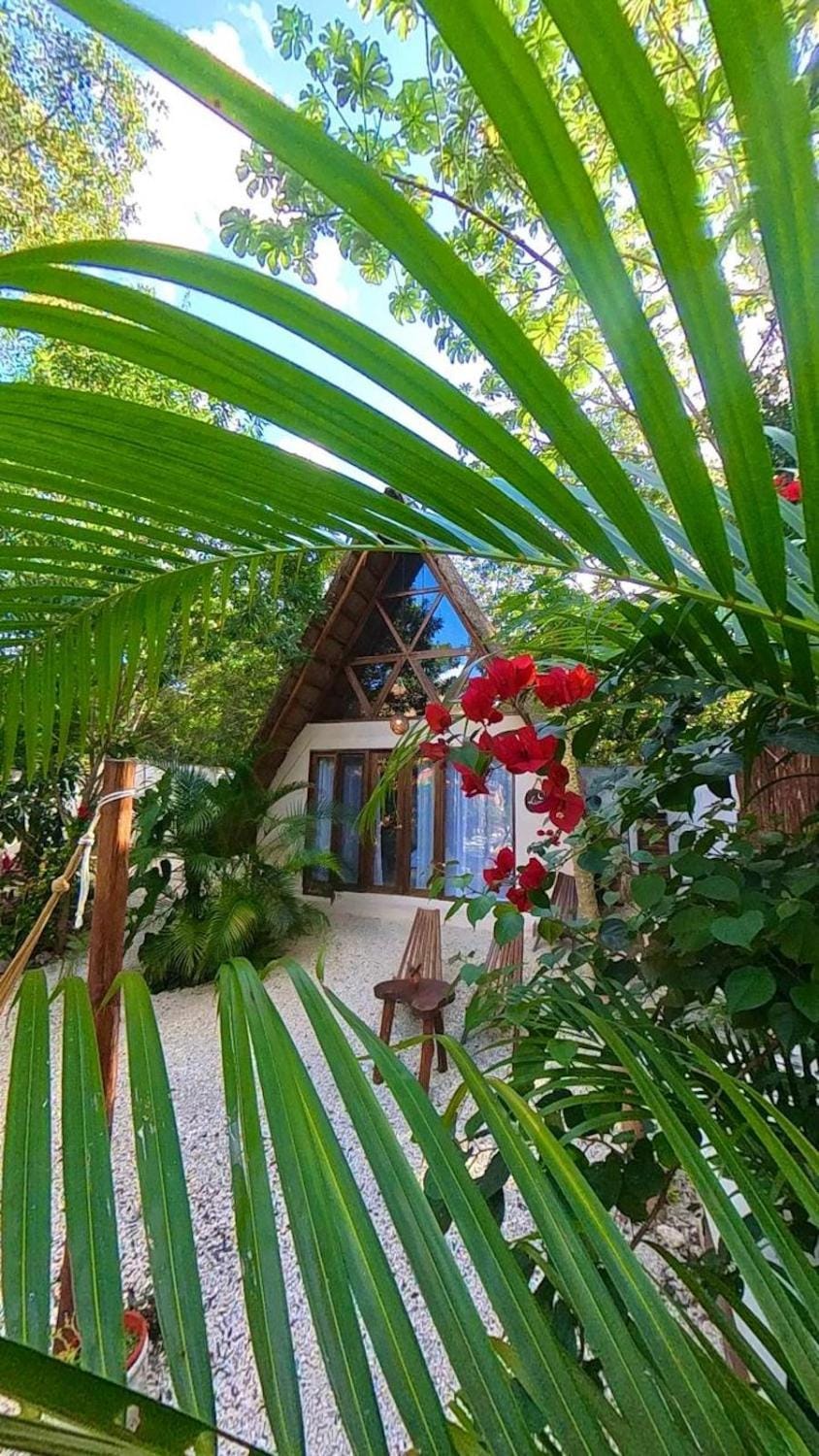 Lodge Tzunum Jade Nature lodge in State of Quintana Roo
