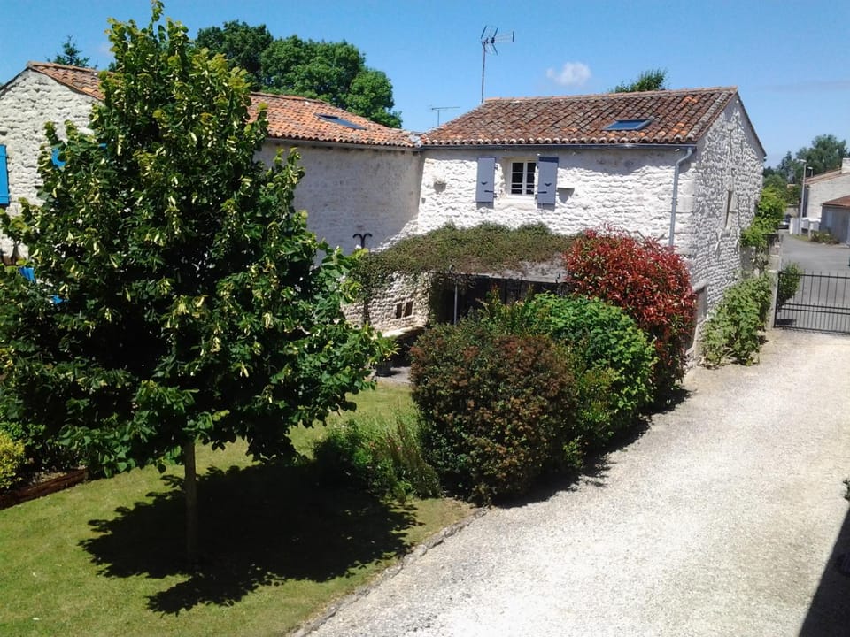 Property building, Garden view