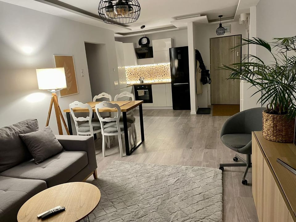 Kitchen or kitchenette, Living room, Seating area, Dining area
