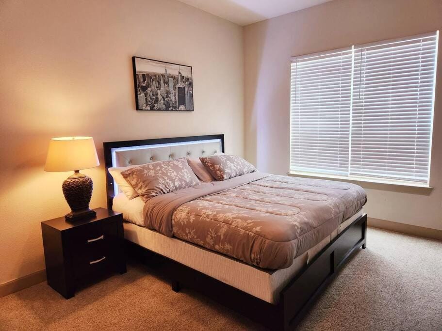 Home felt apartment- Med Center/NRG Apartment in Houston