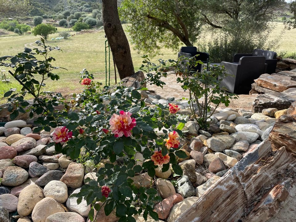 BERGERIE LA NEPITA House in Corsica