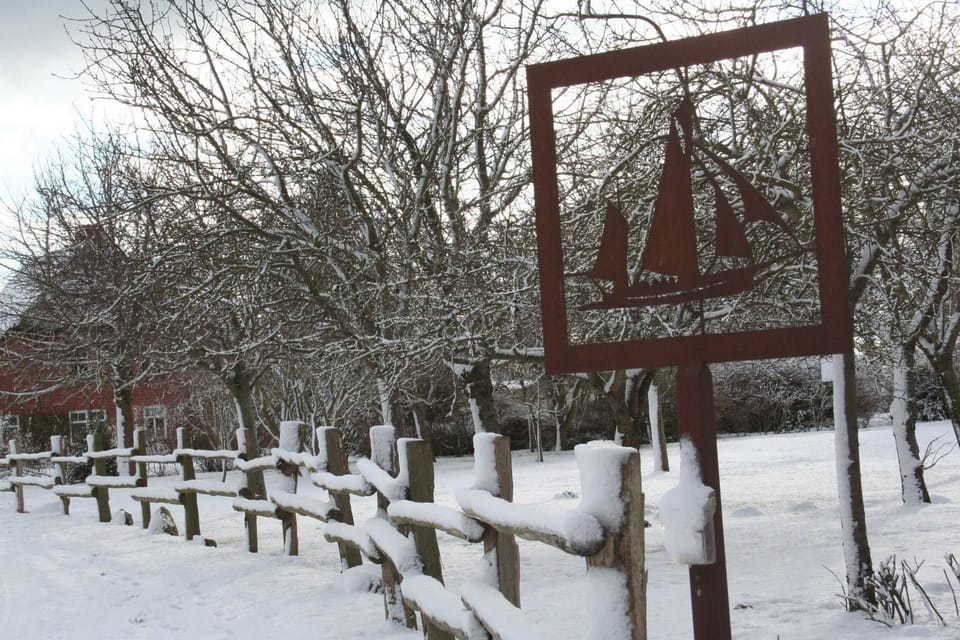 Natural landscape, Winter