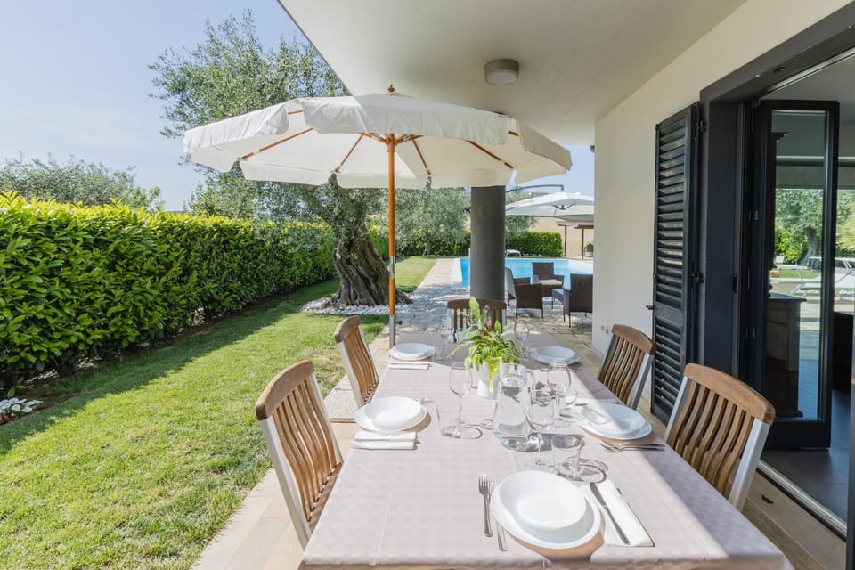Patio, Garden, Dining area