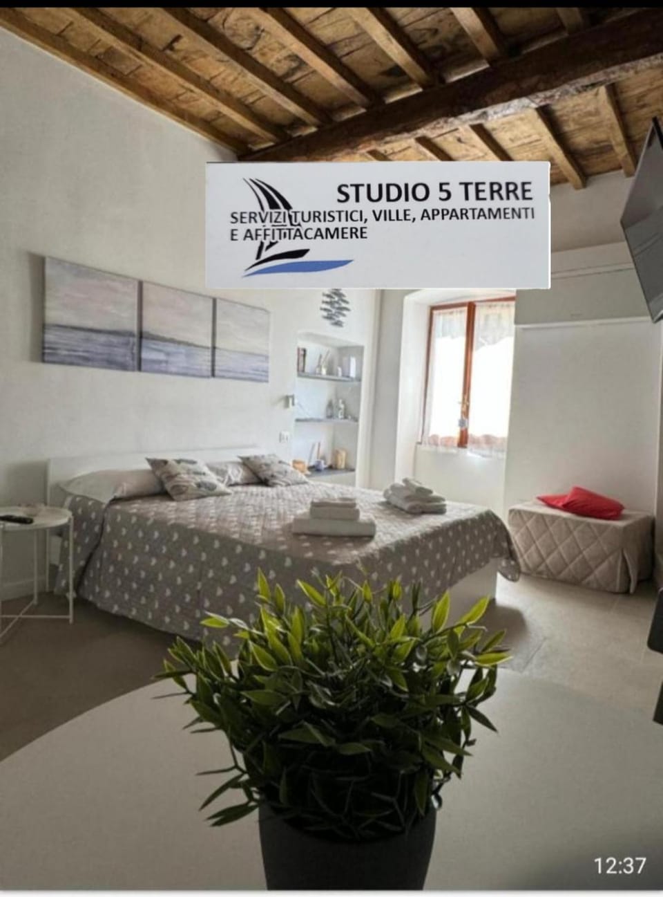 Bed, Living room, Photo of the whole room