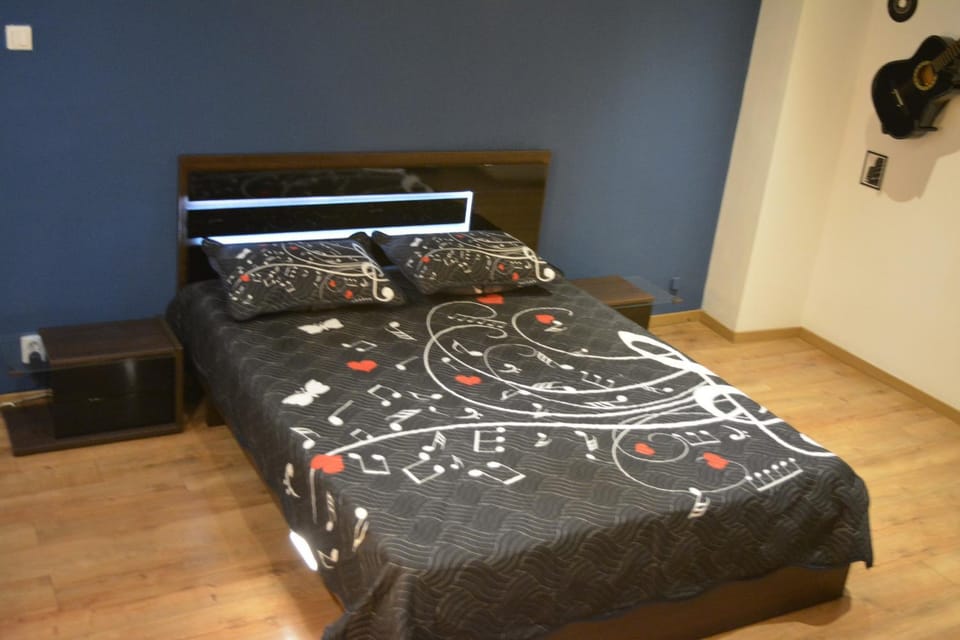 M@D Music Apartment Apartment in Timisoara