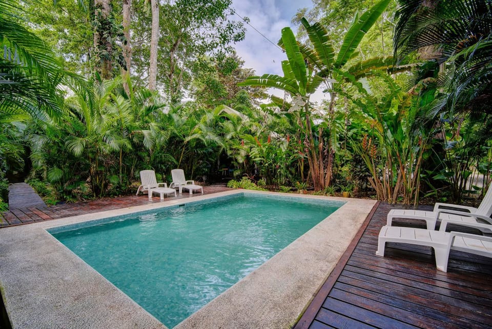 Pool view, Swimming pool, Swimming pool