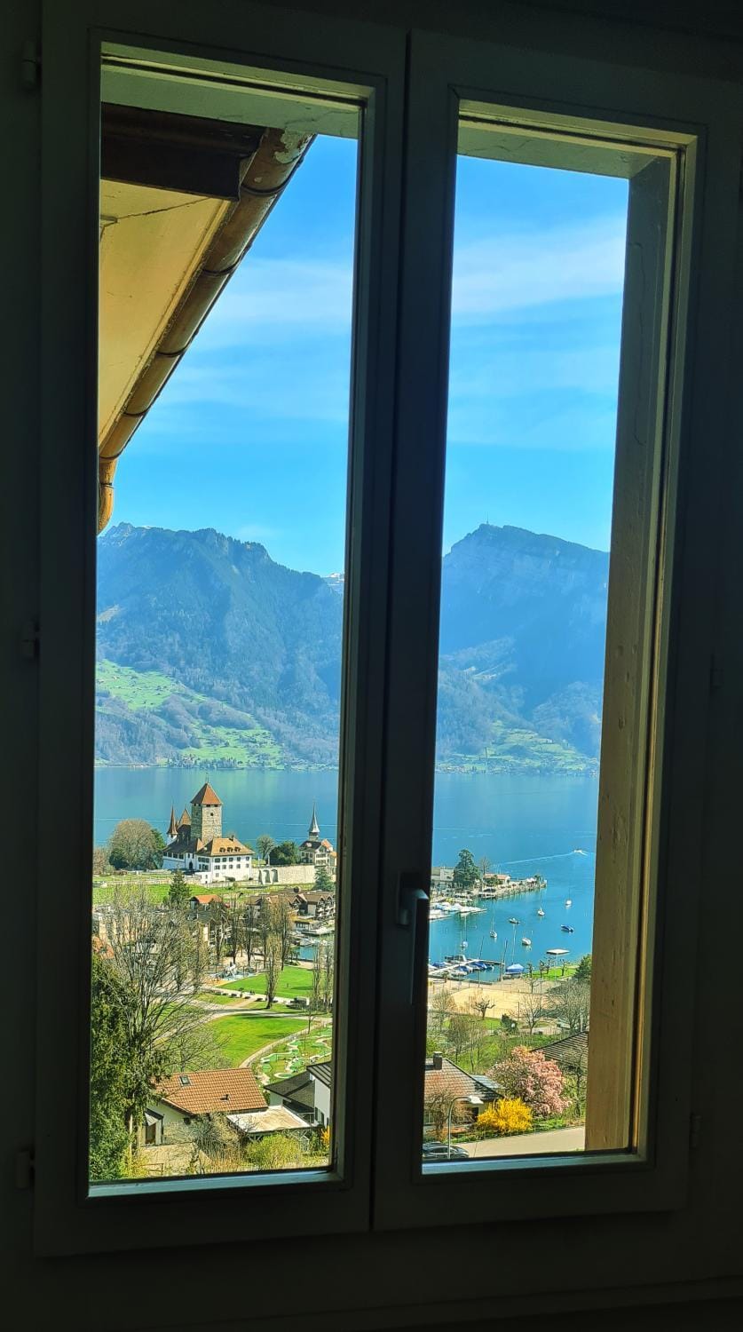 Lake view