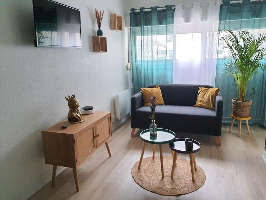Le Ouistiti - 50 m de la Gare - Parking Privé Apartment in Tours