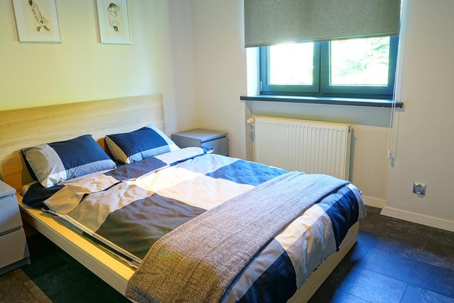 Apartamenty Milenium Apartment in Czechia