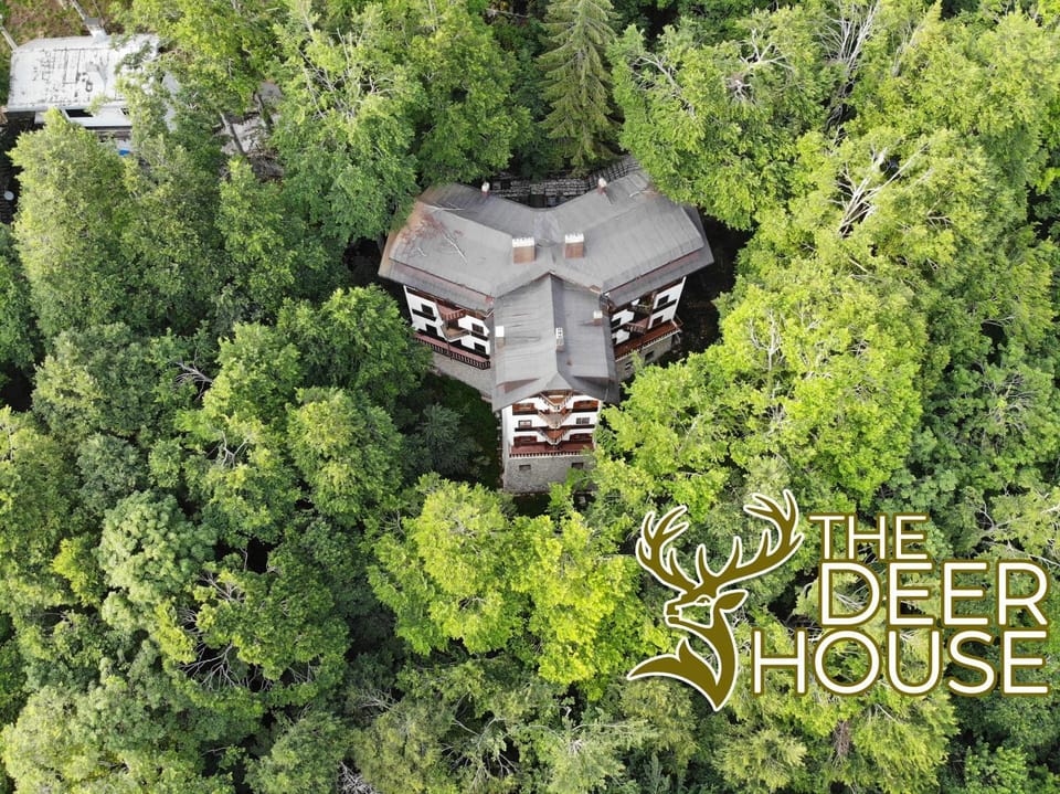 Le Case Nel Bosco Terminillo Apartment in Umbria