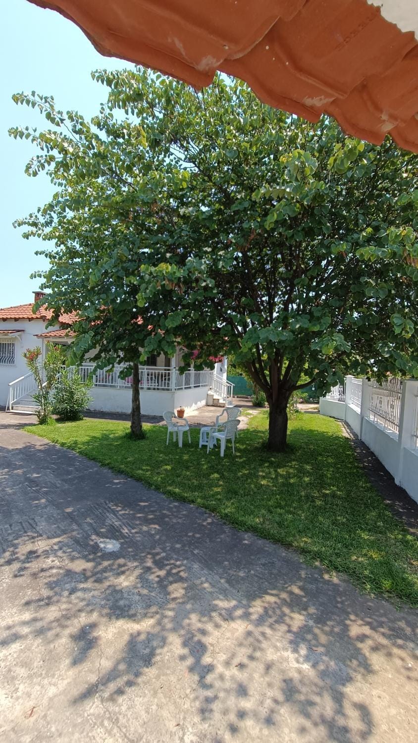 Vasiliki's guest house House in Halkidiki