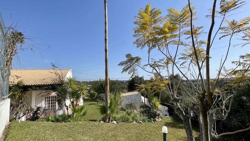Spring, Day, Natural landscape, Garden, Garden view
