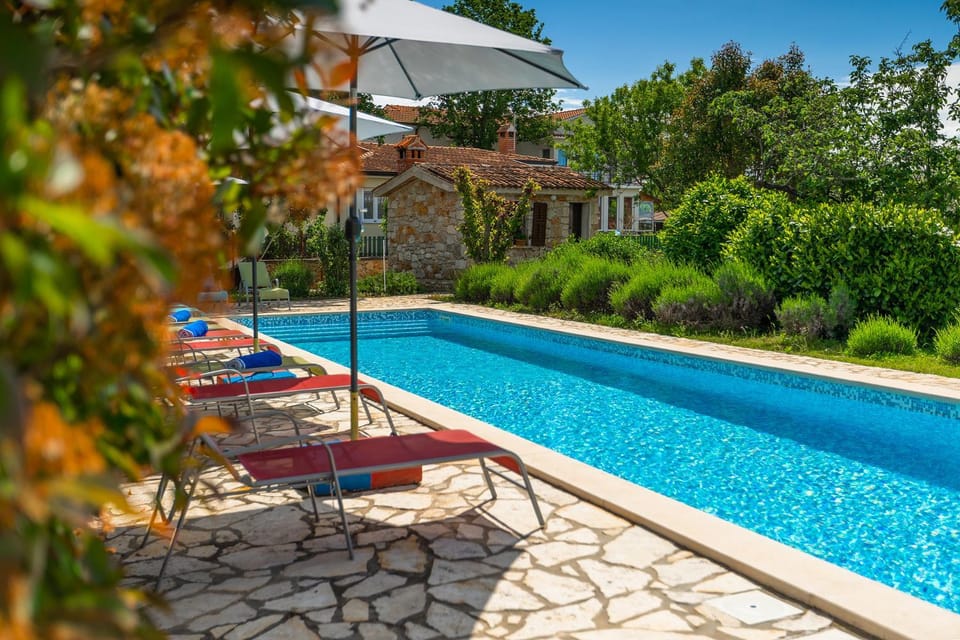 Pool view, Swimming pool, Swimming pool, sunbed, sunbed