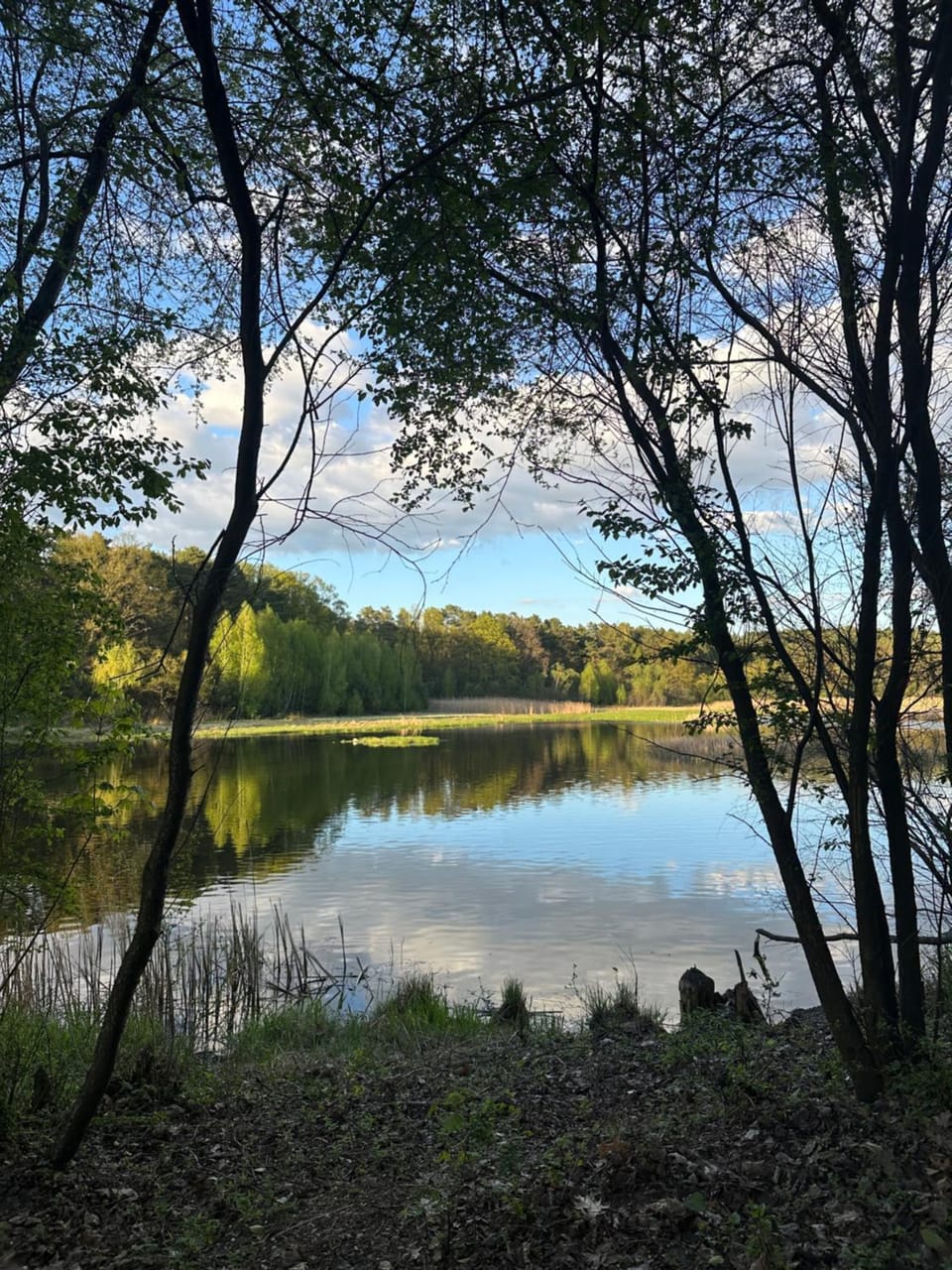 Natural landscape