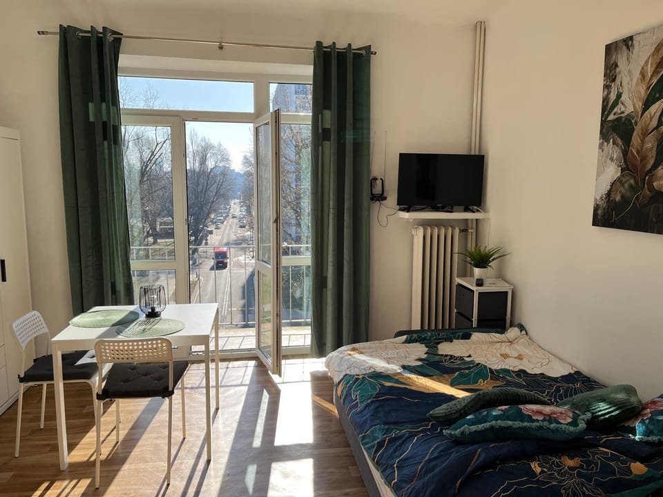 Bed, TV and multimedia, View (from property/room), Balcony/Terrace, Living room, Photo of the whole room, Seating area, Dining area, City view, Quiet street view, heating, internet