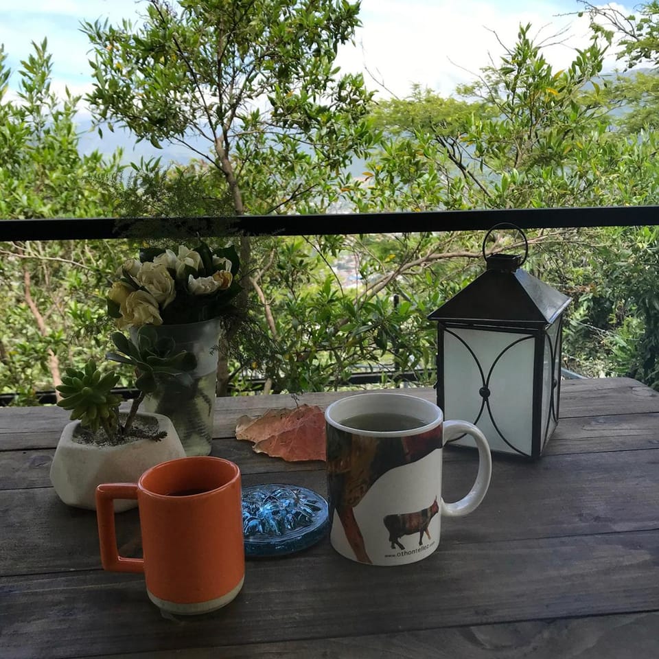 Coffee/tea facilities, Communal kitchen, Garden view