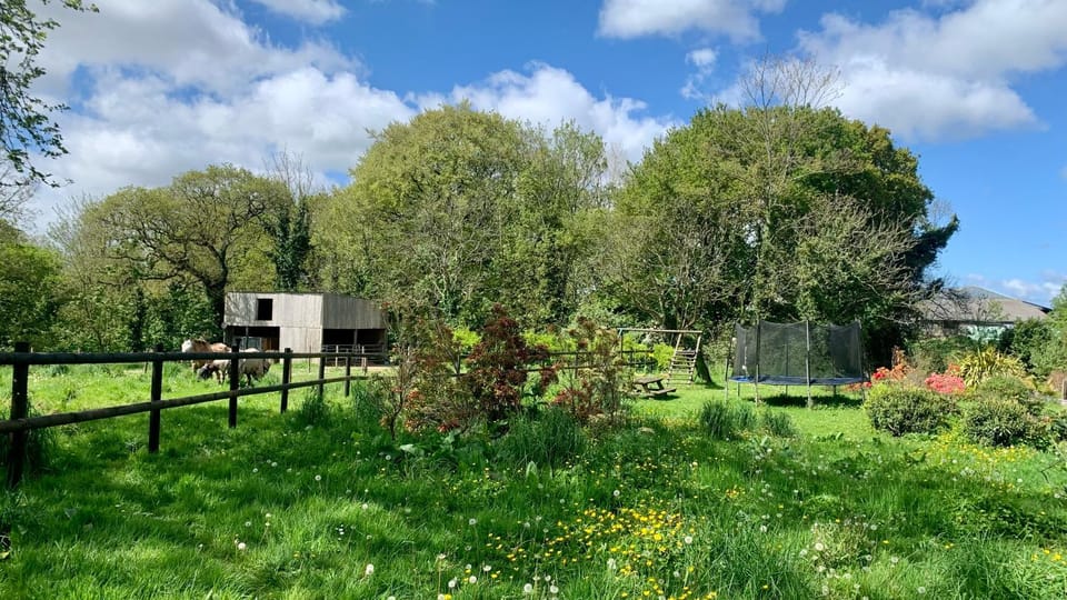 Spring, Natural landscape, Garden
