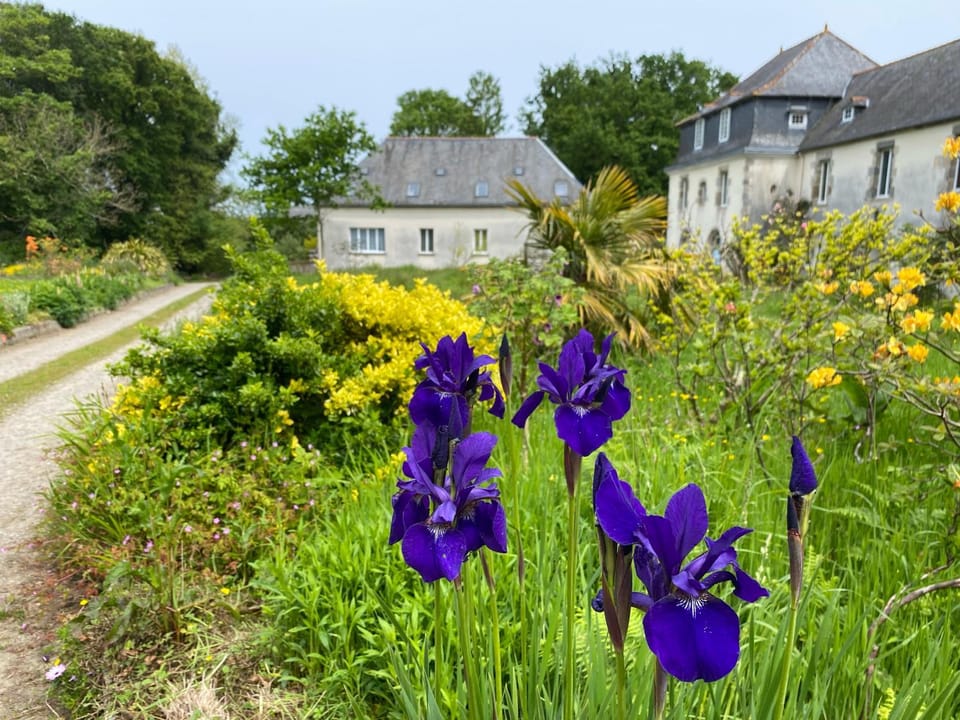 Property building, Spring, Garden