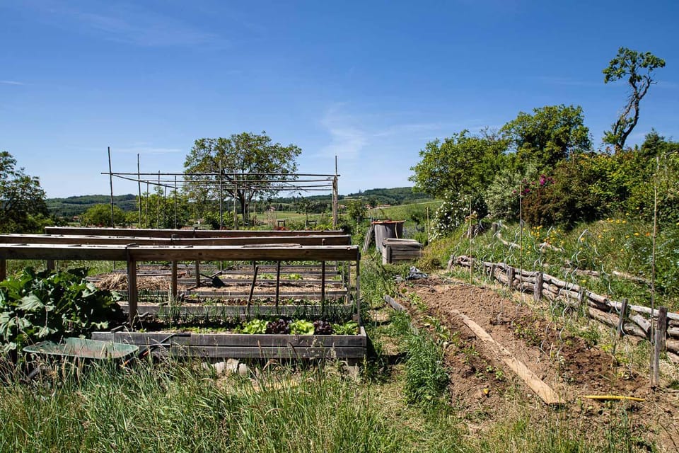 Garden view