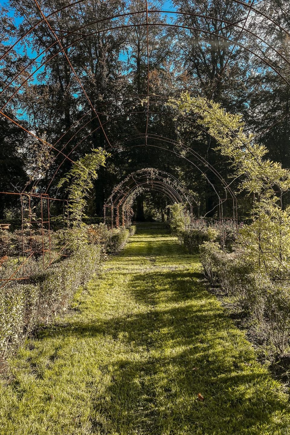 Spring, Natural landscape, Garden, Garden view