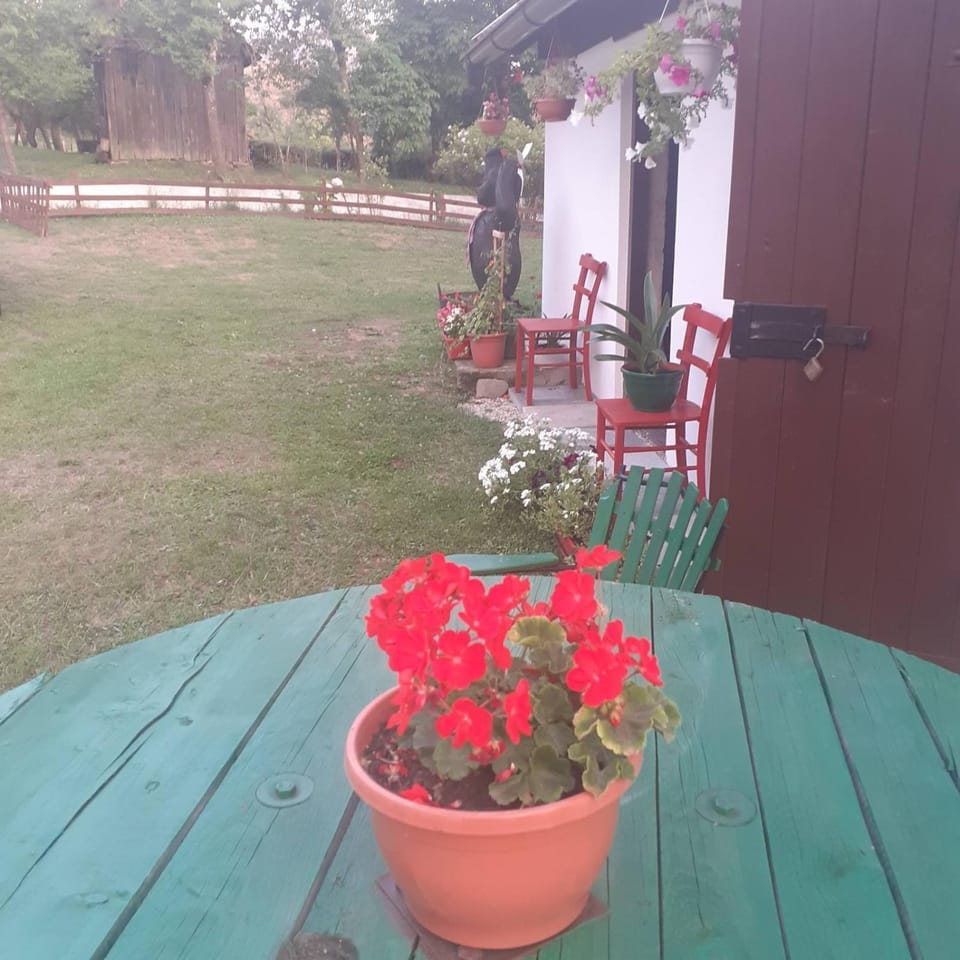 Location, children, Family