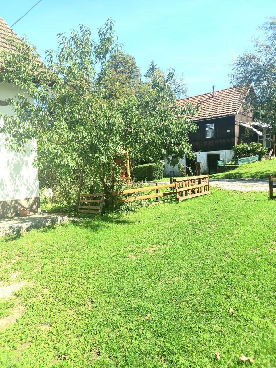Location, children, Family