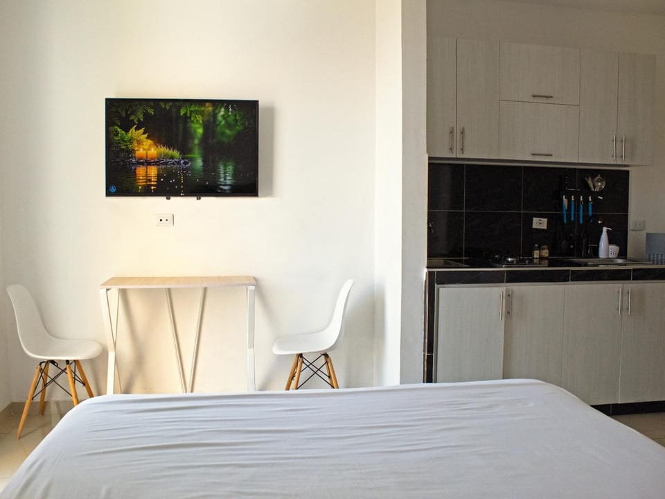 Bed, TV and multimedia, Kitchen or kitchenette, Photo of the whole room, Dining area, Bedroom