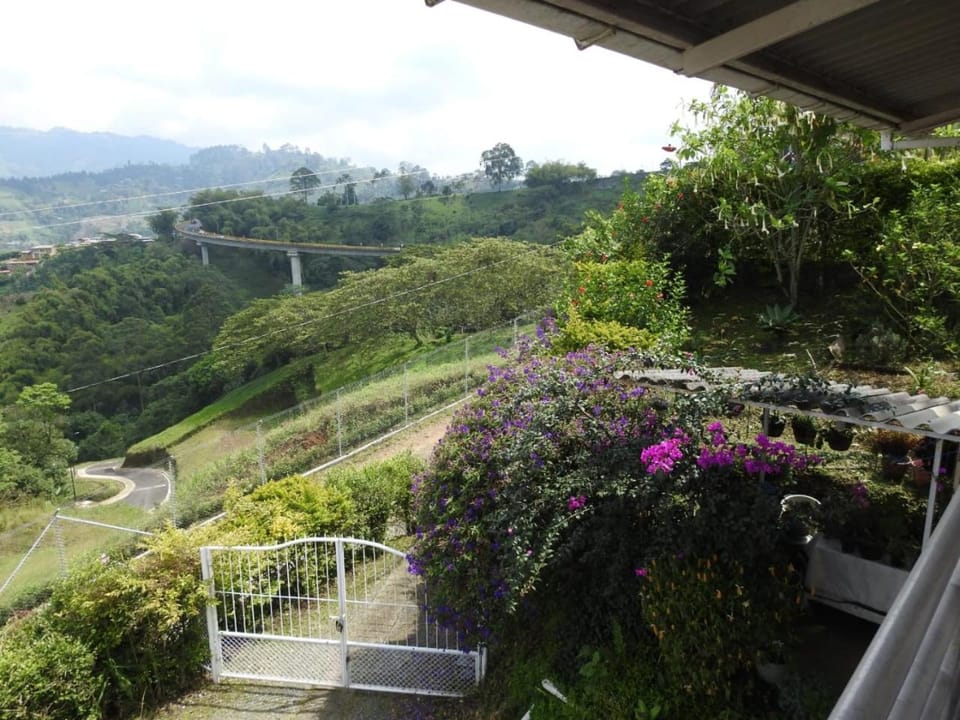 Garden view