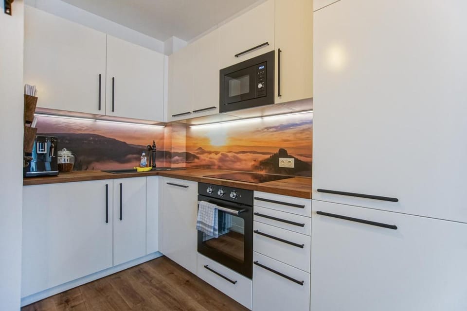 Kitchen or kitchenette, dishwasher, minibar, stove