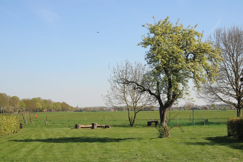 Natural landscape, Garden, Entertainment