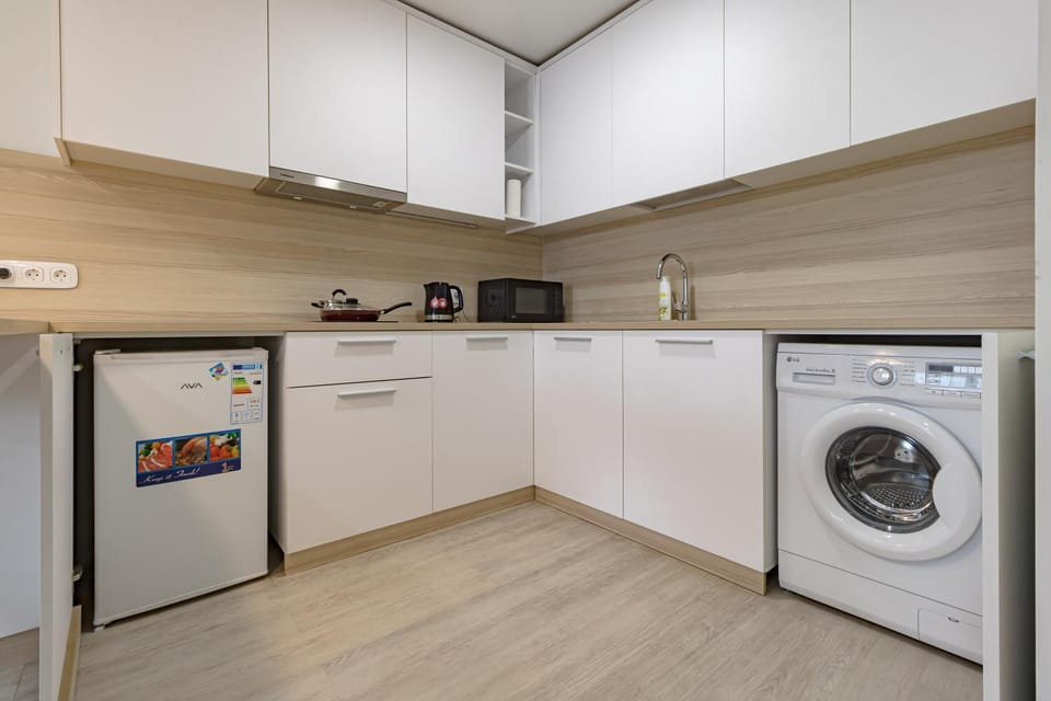 Kitchen or kitchenette, minibar, pet friendly, washing machine, dryer
