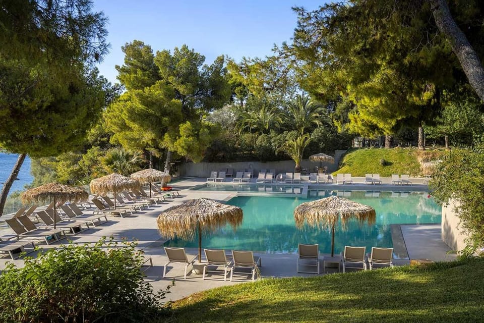 Garden, Swimming pool