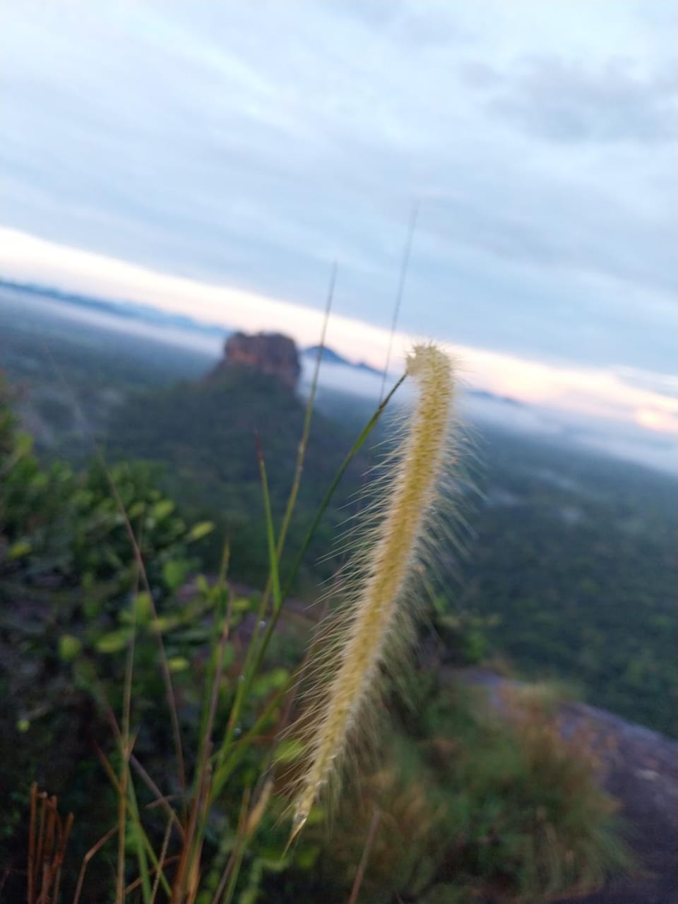 Sunrise, Sunset