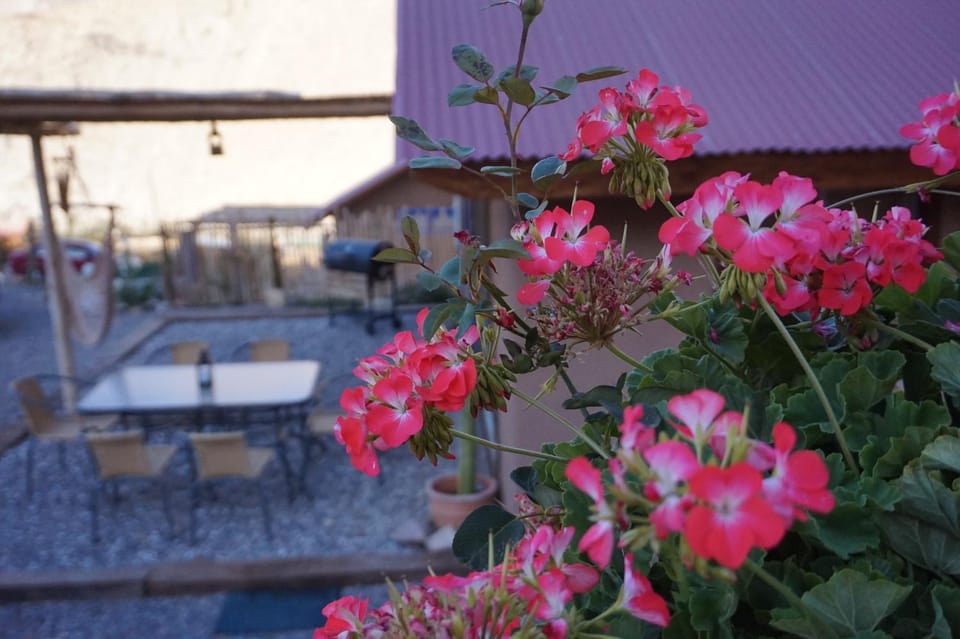 Patio, BBQ facilities