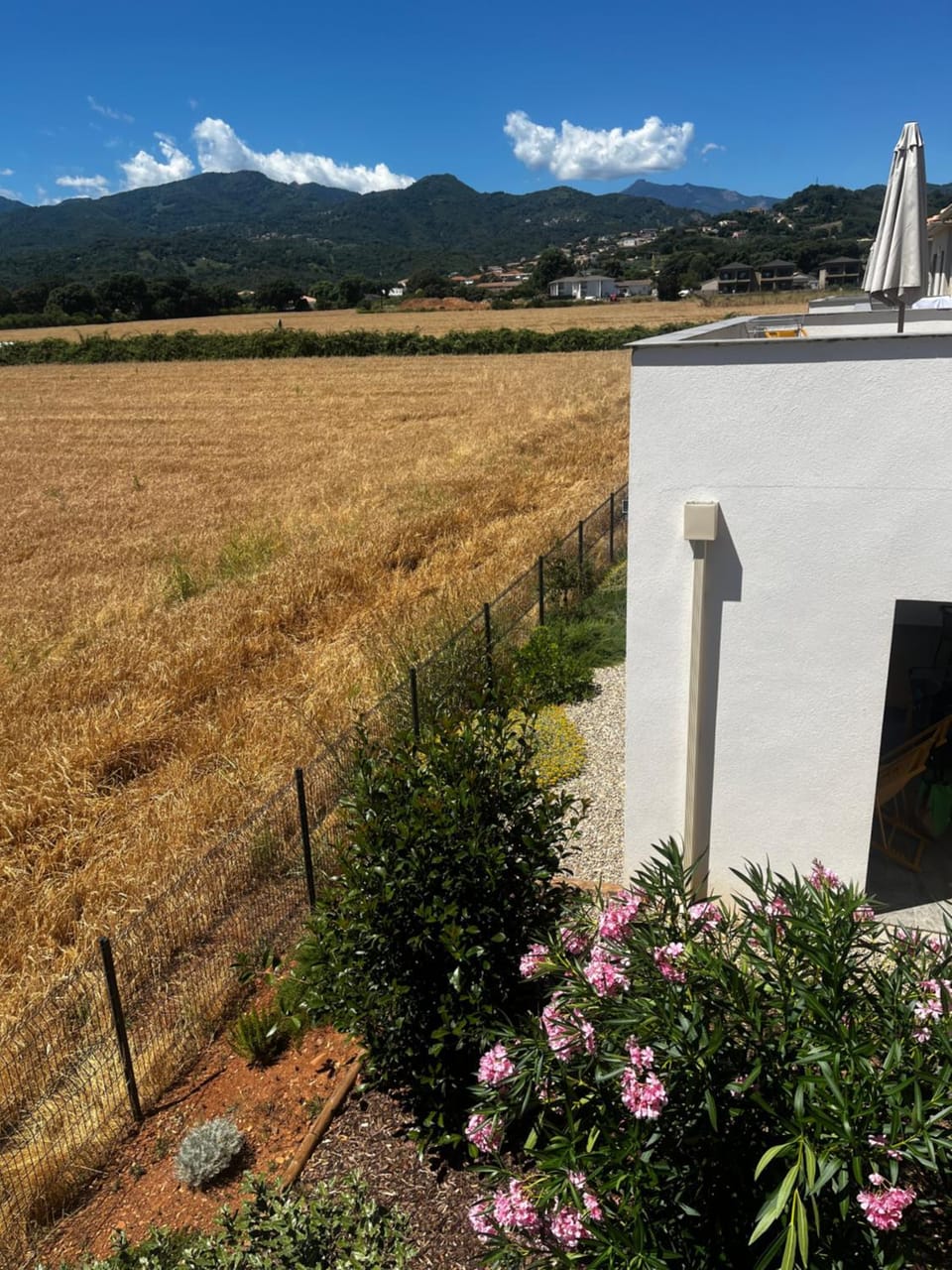 Garden view