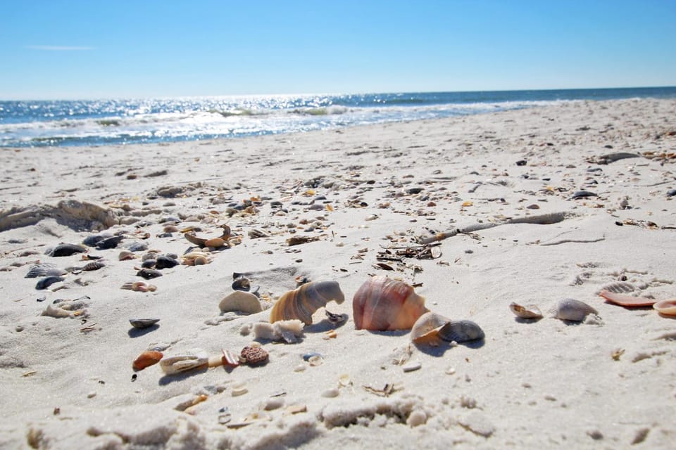 Boardwalk 1083 by Youngs Suncoast Apartment in Gulf Shores