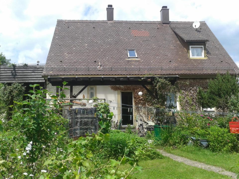 Property building, Garden, Garden view