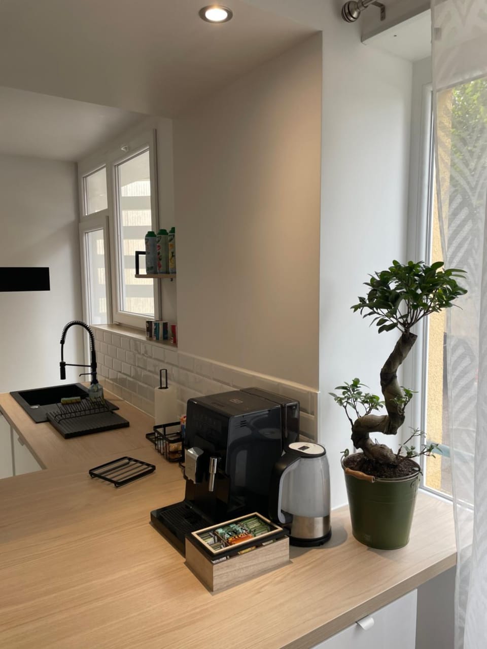 Appartement du lion Apartment in Switzerland