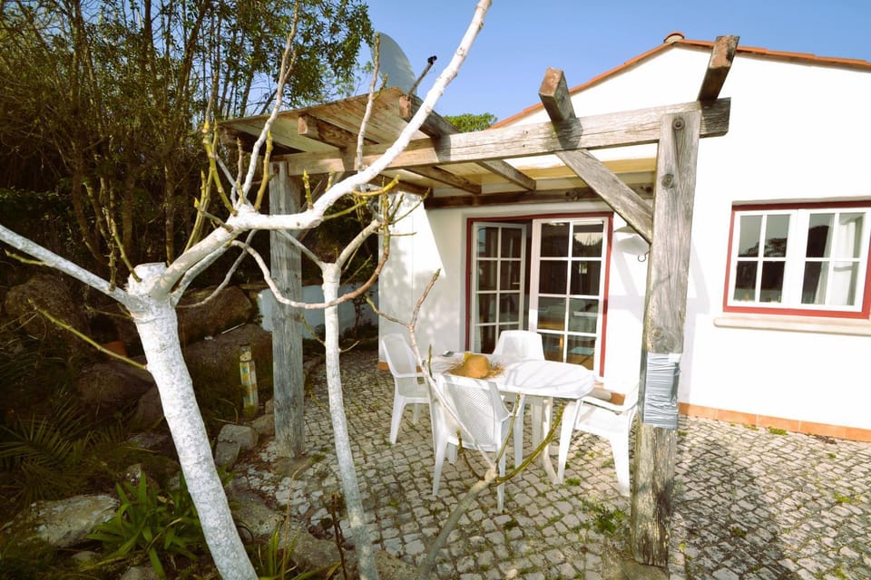 Patio, Garden, Garden view