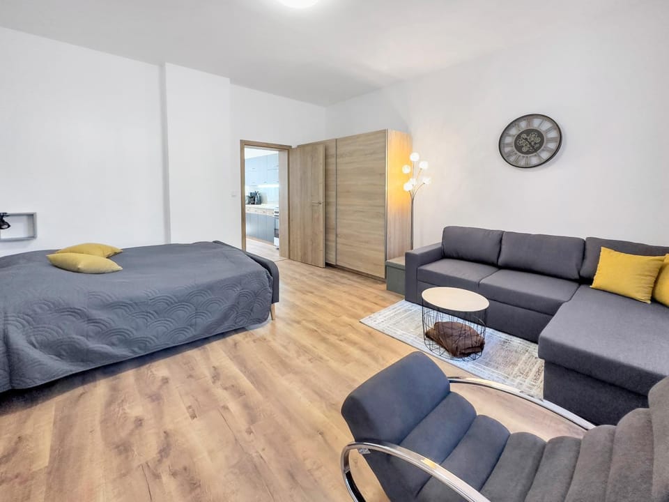 Bed, Living room, Photo of the whole room, Seating area, Bedroom, wardrobe
