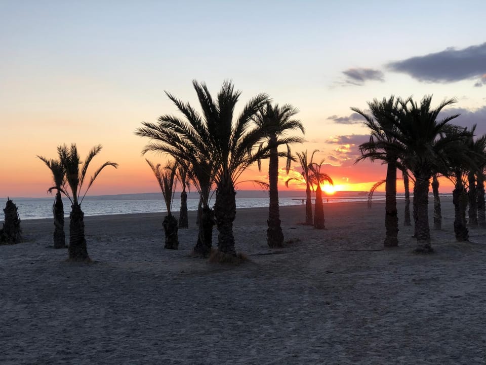 Natural landscape, Beach, Sunset