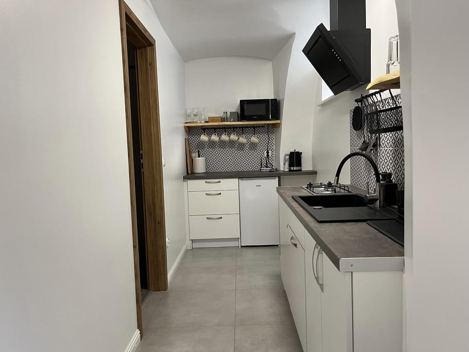 Kitchen or kitchenette, minibar, pet friendly, stove
