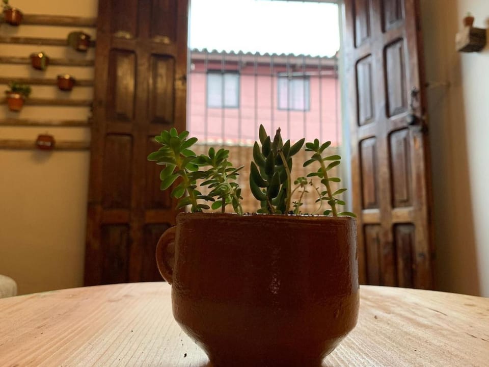 Casa PiYo Apartment in San Cristobal de Casas