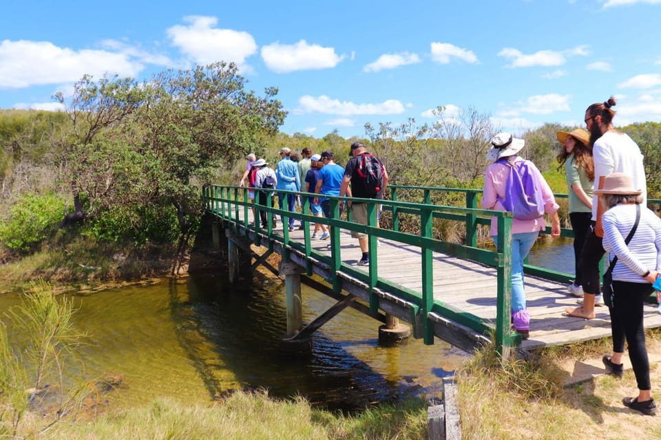 Natural landscape, group of guests