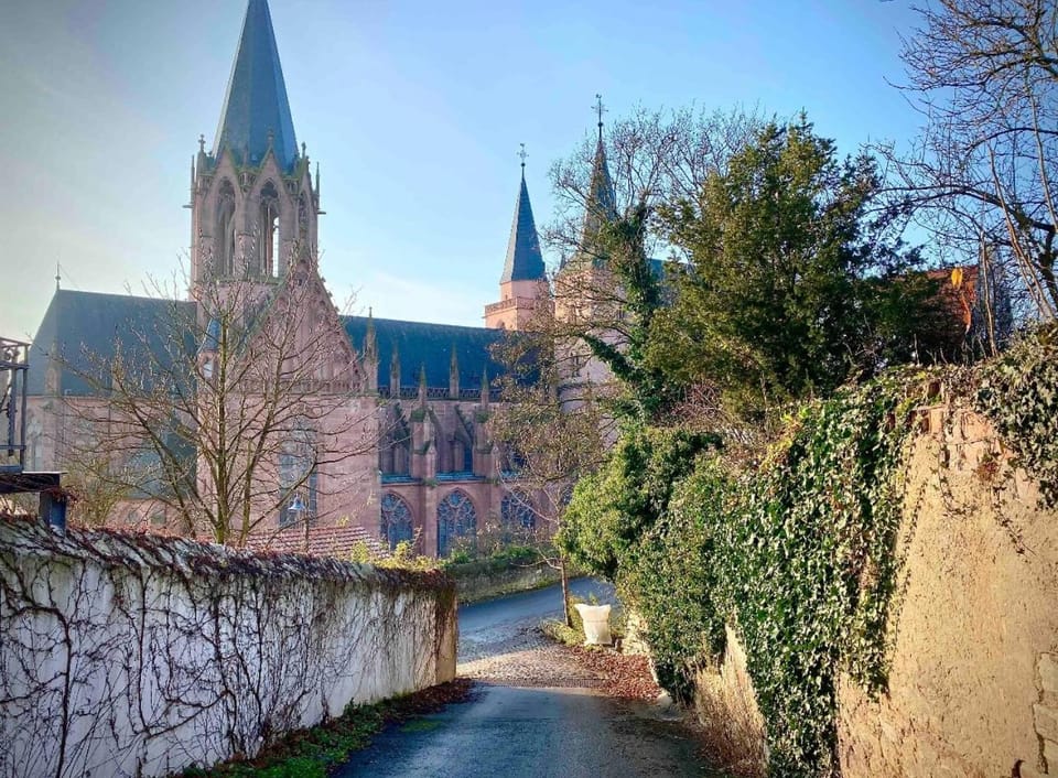 Schönster Blick auf Oppenheim! Apartment in Mainz-Bingen
