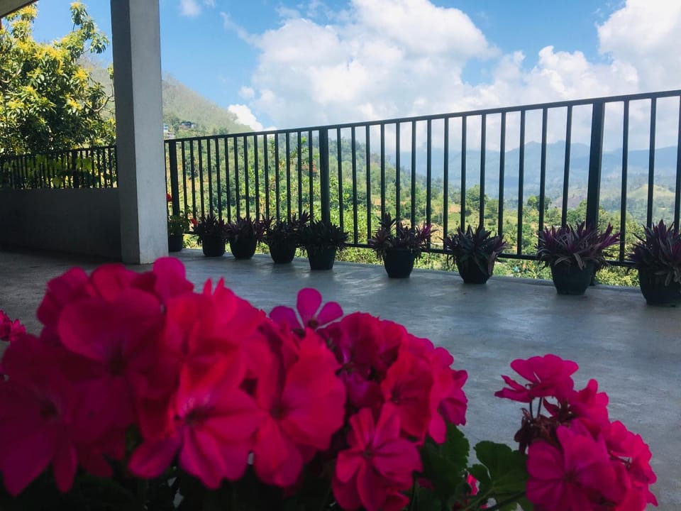 Mountain view