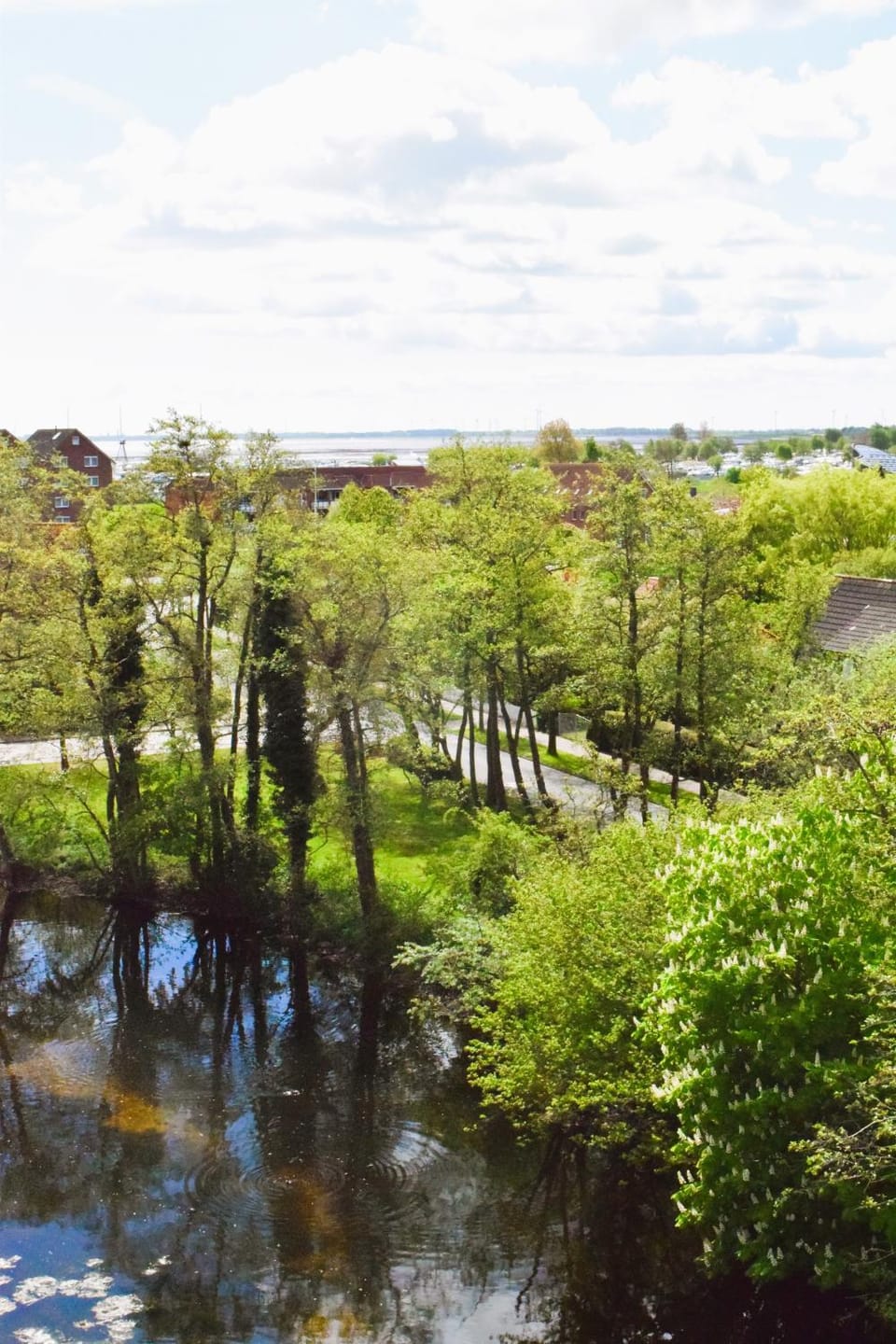 Natural landscape