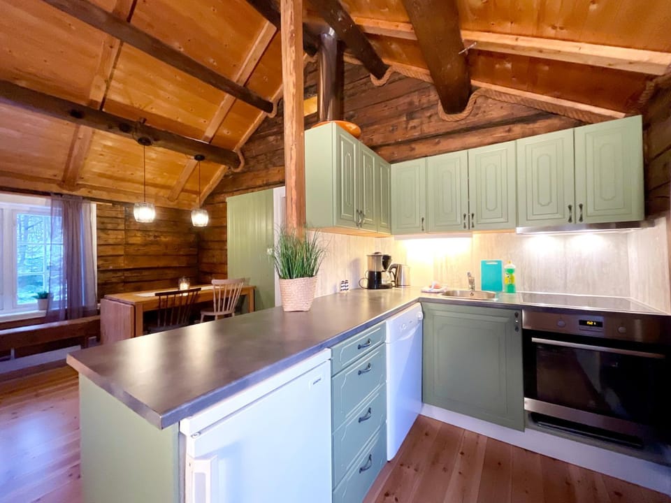 Kitchen or kitchenette, dishwasher, pet friendly, stove