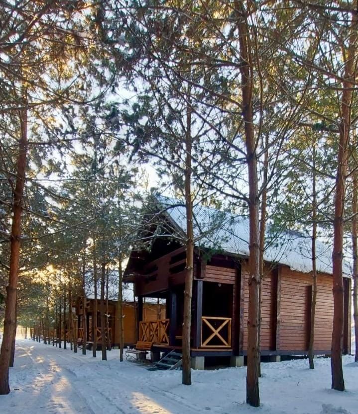 Family Resort House in Lviv Oblast