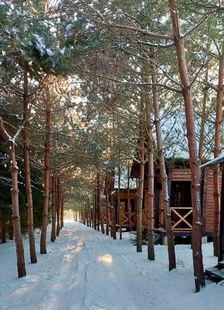 Family Resort House in Lviv Oblast
